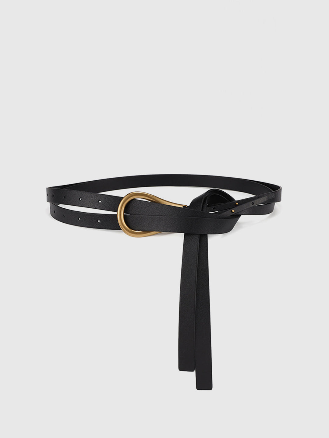 Ceinture Jupiter