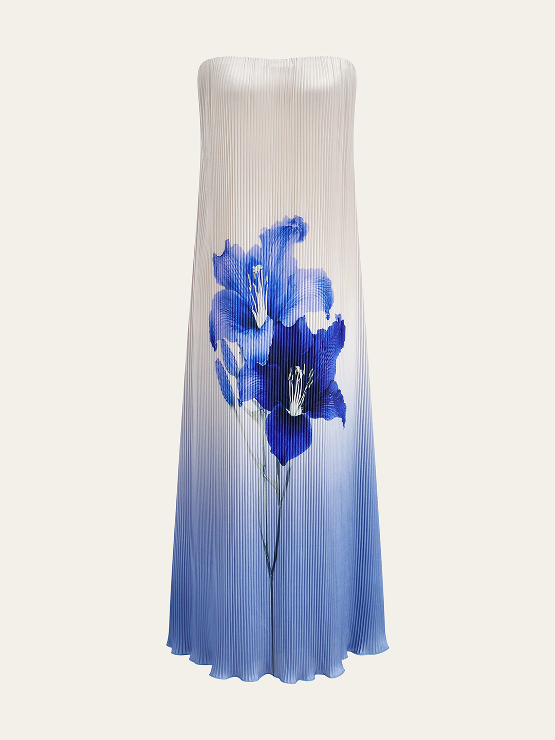 Robe Maxi Plissée Sans Bretelles à Imprimé Floral Dégradé