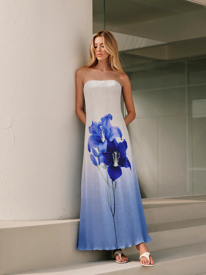 Robe Maxi Plissée Sans Bretelles à Imprimé Floral Dégradé