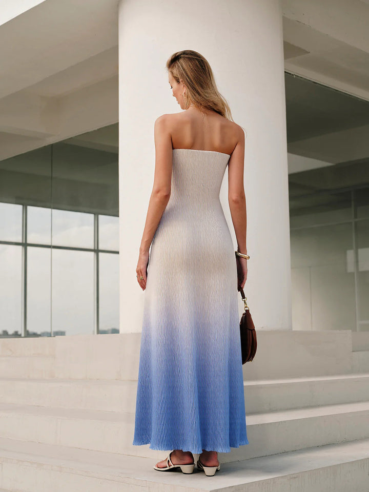 Robe Maxi Plissée Sans Bretelles à Imprimé Floral Dégradé